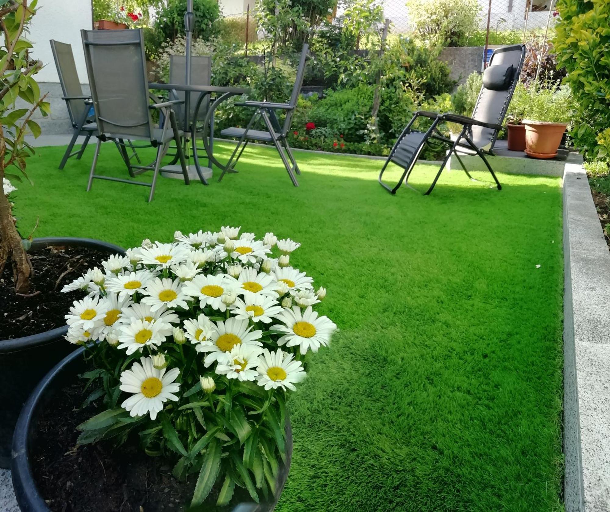 Appartamento Con Giardino Carisolo Eksteriør bilde